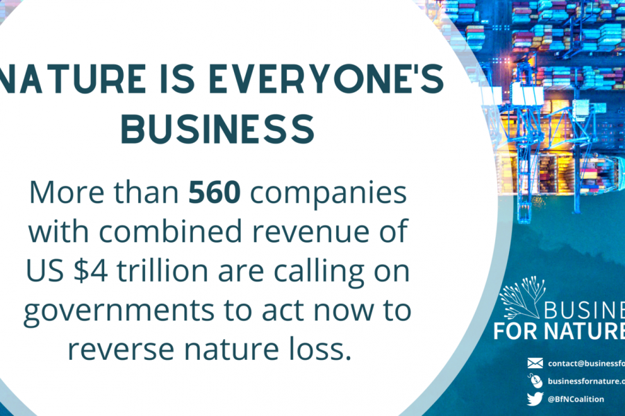 Business for Nature’s Call to Action