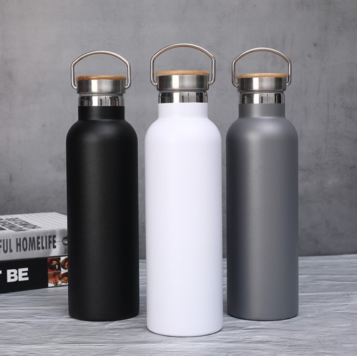 Stainless Steel Thermal Sports Bottle