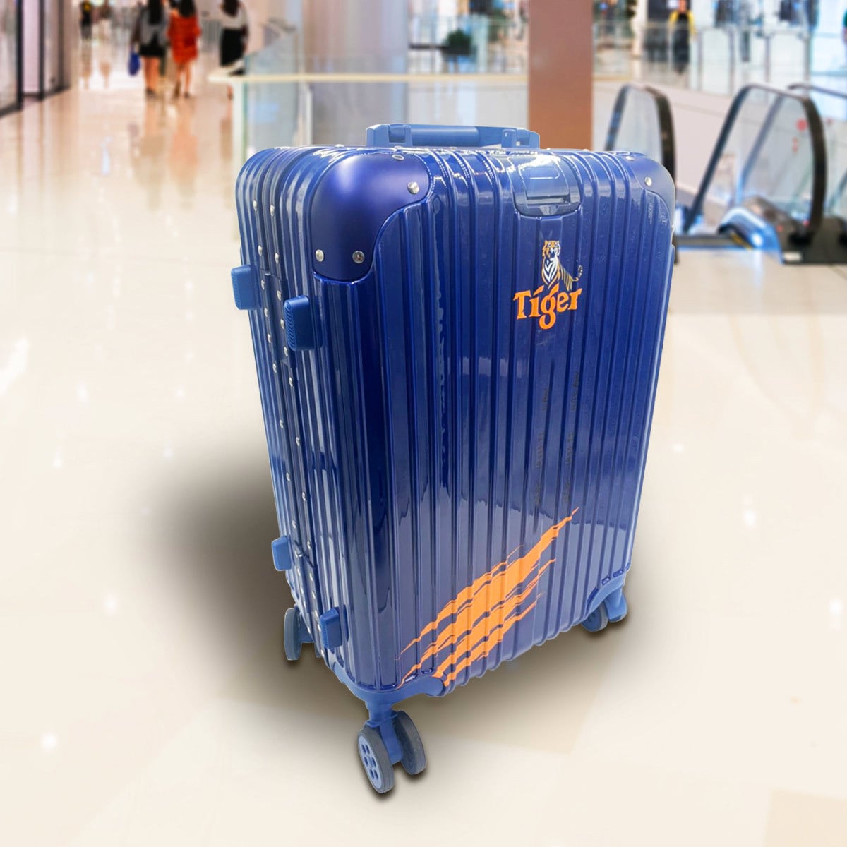 Cabin Trolley Suitcase